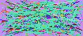 net detective software